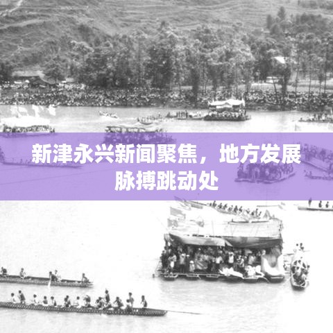 新津永兴新闻聚焦,地方发展脉搏跳动处