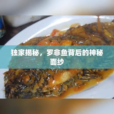 独家揭秘，罗非鱼背后的神秘面纱
