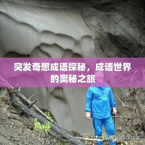 突发奇想成语探秘,成语世界的奥秘之旅