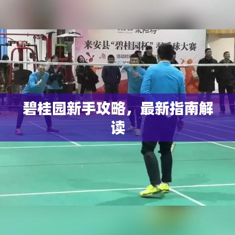 碧桂园新手攻略,最新指南解读