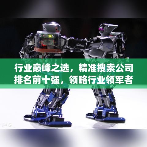 行业巅峰之选，精准搜索公司排名前十强，领略行业领军者的风采
