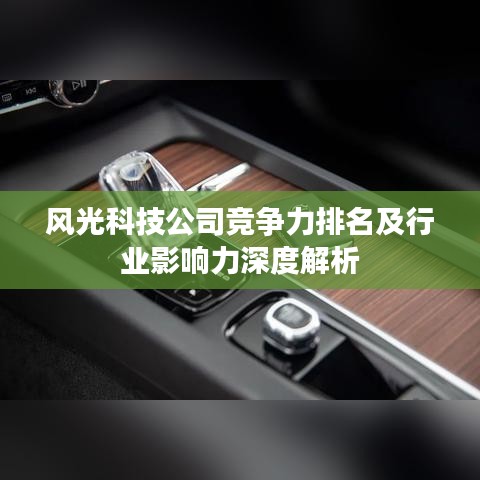 风光科技公司竞争力排名及行业影响力深度解析