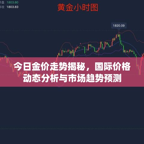 今日金价走势揭秘,国际价格动态分析与市场趋势预测