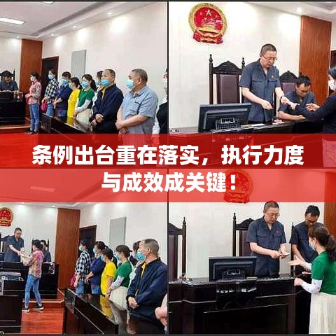 条例出台重在落实,执行力度与成效成关键!