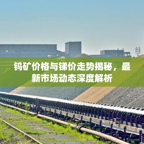 钨矿价格与锑价走势揭秘,最新市场动态深度解析