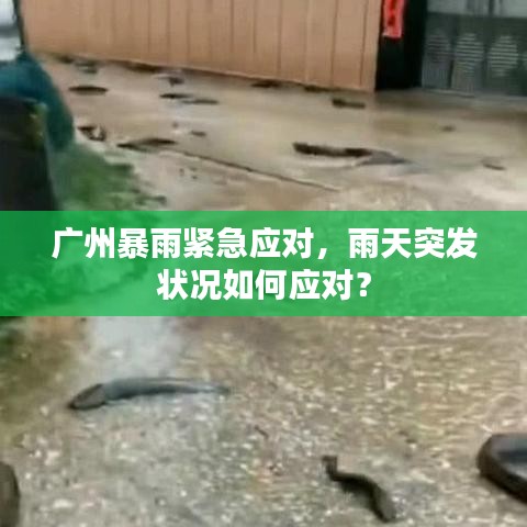 广州暴雨紧急应对,雨天突发状况如何应对?
