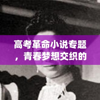 高考革命小说专题,青春梦想交织的探索之旅