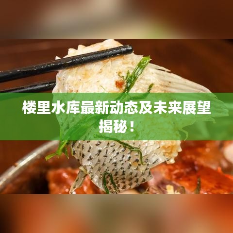 楼里水库最新动态及未来展望揭秘!