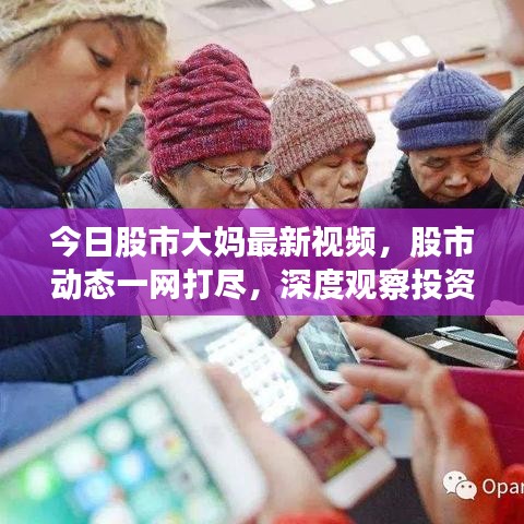 今日股市大妈最新视频,股市动态一网打尽,深度观察投资者行为