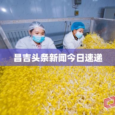 昌吉头条新闻今日速递