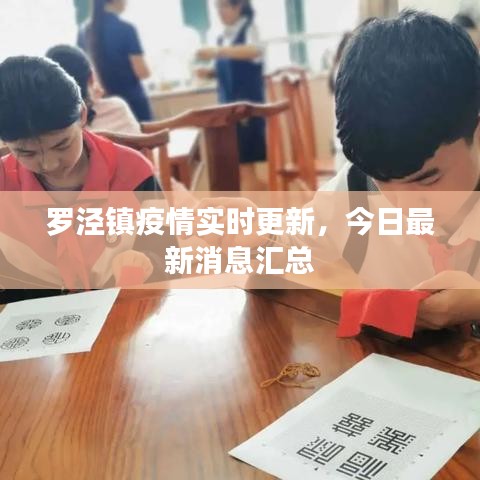 罗泾镇疫情实时更新,今日最新消息汇总