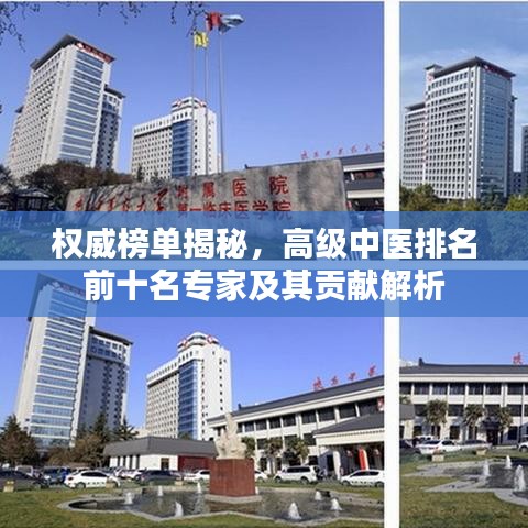 权威榜单揭秘,高级中医排名前十名专家及其贡献解析