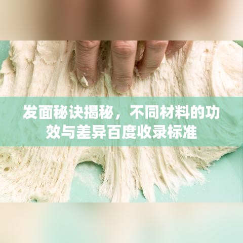 发面秘诀揭秘,不同材料的功效与差异百度收录标准