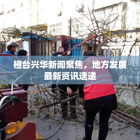 桓台兴华新闻聚焦,地方发展最新资讯速递