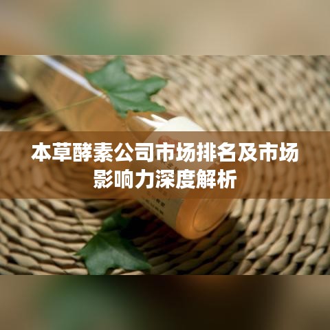 本草酵素公司市场排名及市场影响力深度解析