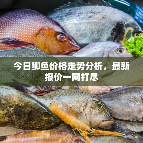 今日鲫鱼价格走势分析，最新报价一网打尽