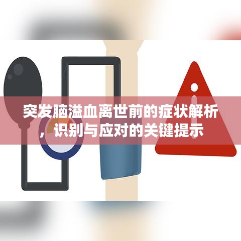 突发脑溢血离世前的症状解析，识别与应对的关键提示