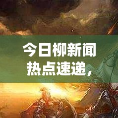 今日柳新闻热点速递，最新消息汇总