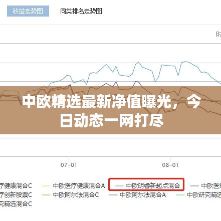 中欧精选最新净值曝光，今日动态一网打尽
