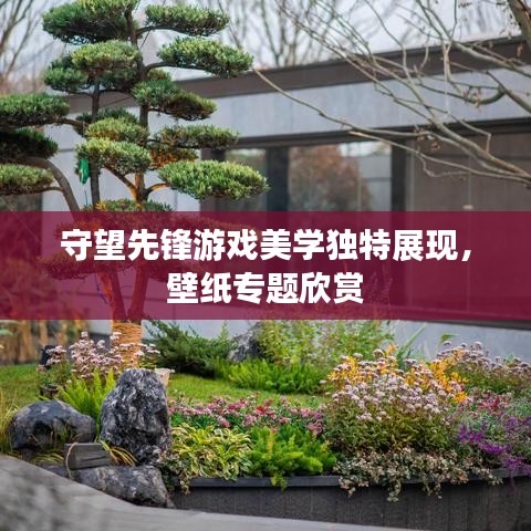 守望先锋游戏美学独特展现，壁纸专题欣赏