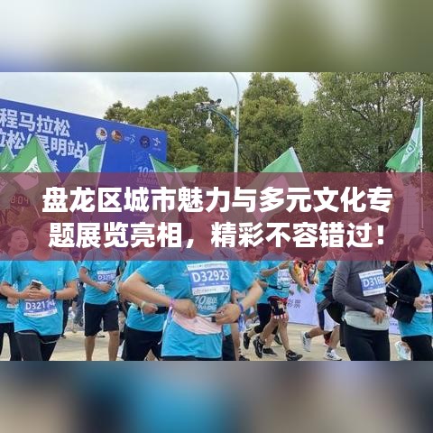 盘龙区城市魅力与多元文化专题展览亮相,精彩不容错过!