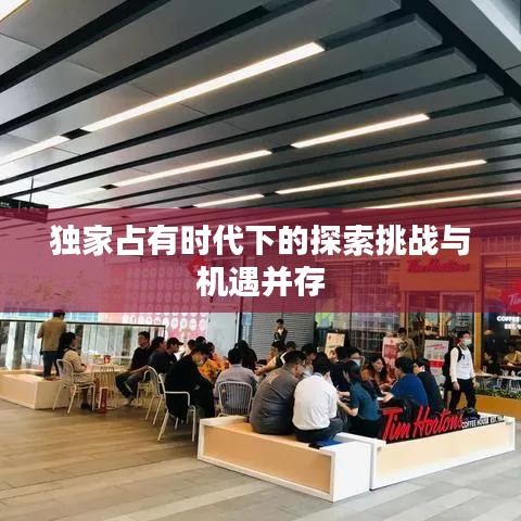 独家占有时代下的探索挑战与机遇并存