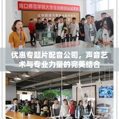 优惠专题片配音公司,声音艺术与专业力量的完美结合
