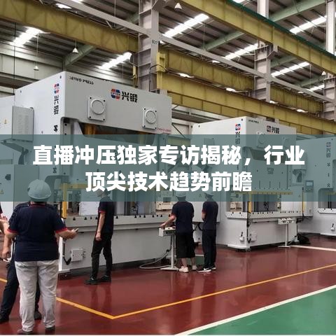 直播冲压独家专访揭秘,行业顶尖技术趋势前瞻