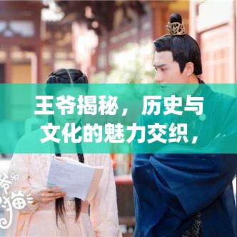 王爷揭秘，历史与文化的魅力交织，探寻百度云中的色一下奇缘