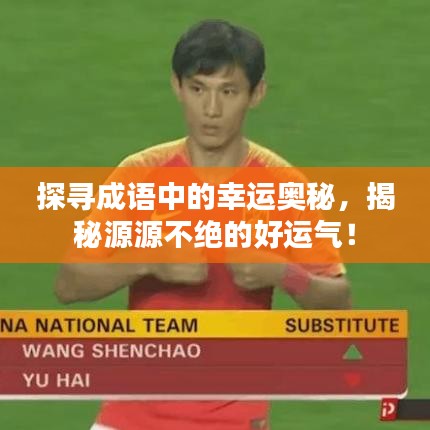 探寻成语中的幸运奥秘,揭秘源源不绝的好运气!