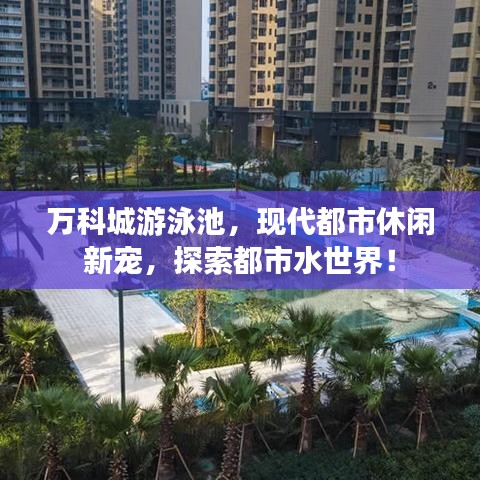 万科城游泳池，现代都市休闲新宠，探索都市水世界！