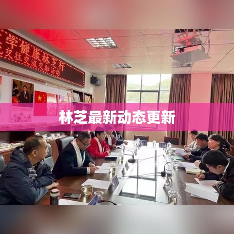 林芝最新动态更新