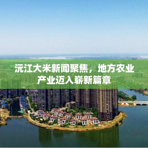 沅江大米新闻聚焦,地方农业产业迈入崭新篇章