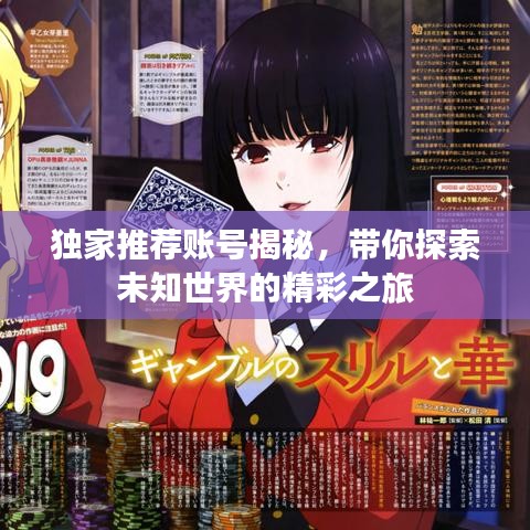 独家推荐账号揭秘,带你探索未知世界的精彩之旅