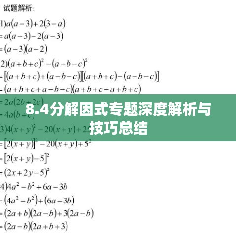 8.4分解因式专题深度解析与技巧总结