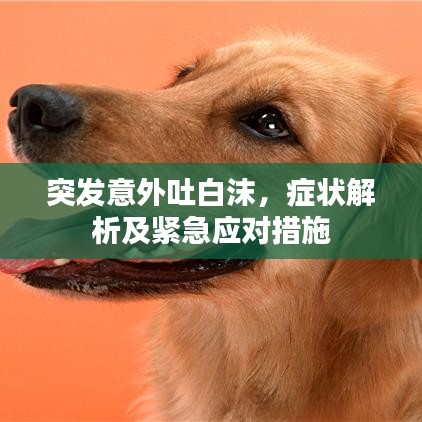 天堂地狱 第2页