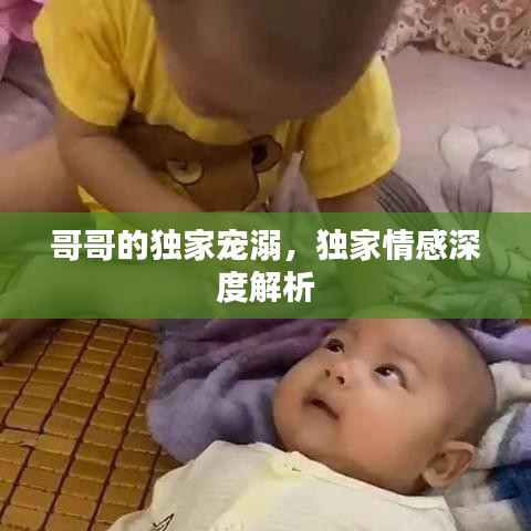 哥哥的独家宠溺，独家情感深度解析