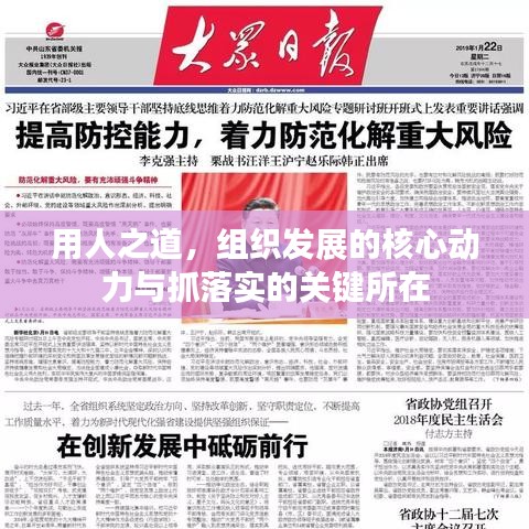 用人之道,组织发展的核心动力与抓落实的关键所在