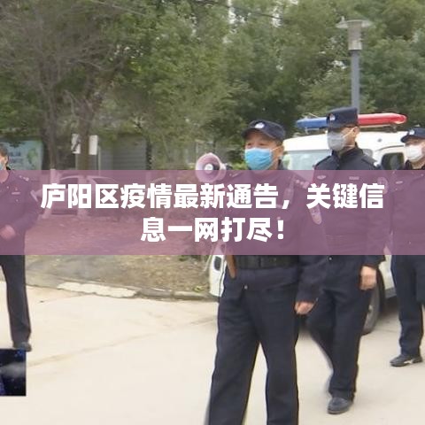 庐阳区疫情最新通告，关键信息一网打尽！