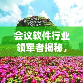 会议软件行业领军者揭秘，十大排名及深度解析
