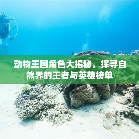 走马观花 第2页