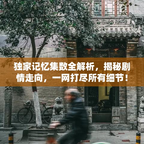 独家记忆集数全解析,揭秘剧情走向,一网打尽所有细节!