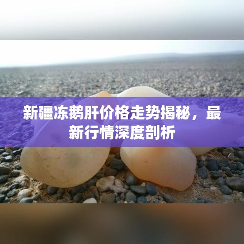 新疆冻鹅肝价格走势揭秘，最新行情深度剖析