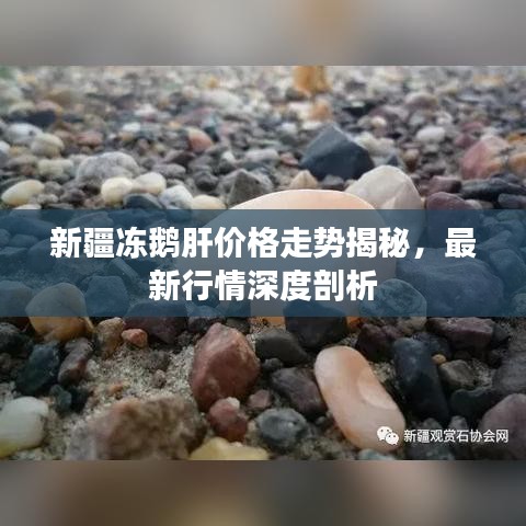 新疆冻鹅肝价格走势揭秘,最新行情深度剖析