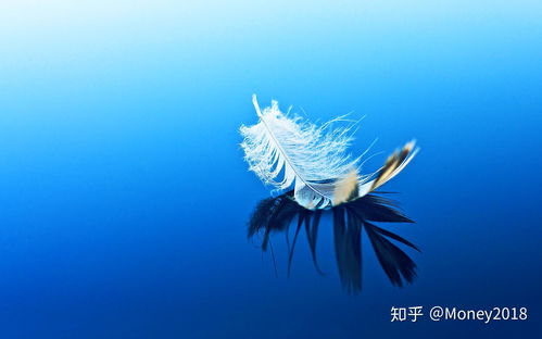 掌上快讯官方下载,标准程序评估&桌面版_v2.256