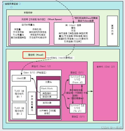 彩虹正版官方下载,深入研究解释定义 动态版_v7.982