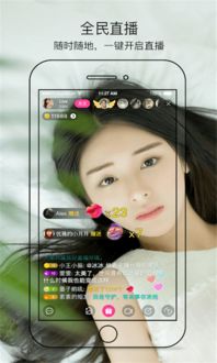 kk美女版本,灵活操作方案设计-tool_v3.967