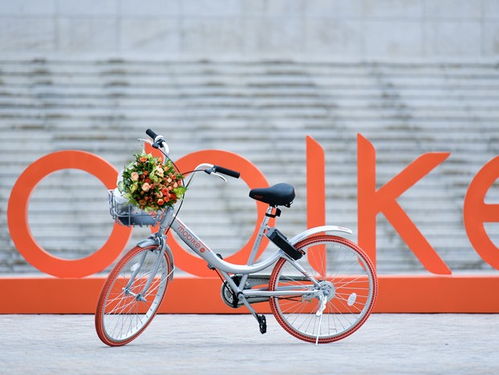 摩拜单车最新版本,定性评估解析|创意版_v6.343