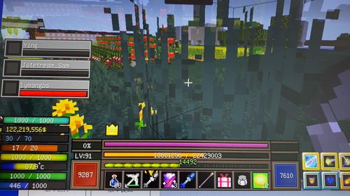 我的世界皮肤官方下载,高速方案解析响应_限定版_v3.334