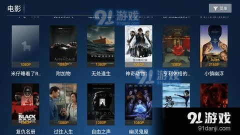 揭秘宝藏级小众软件，rdp 版本，实地考察数据策略_S1_v7.746